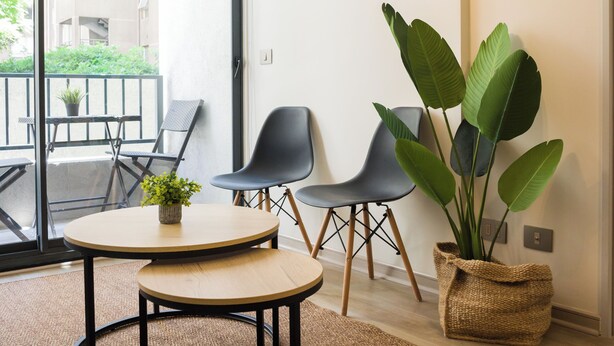 Ein modernes Wohnzimmer mit rundem Tisch, zwei Stühlen, einer großen Kübelpflanze und Blick auf einen Balkon mit Gartenmöbeln.