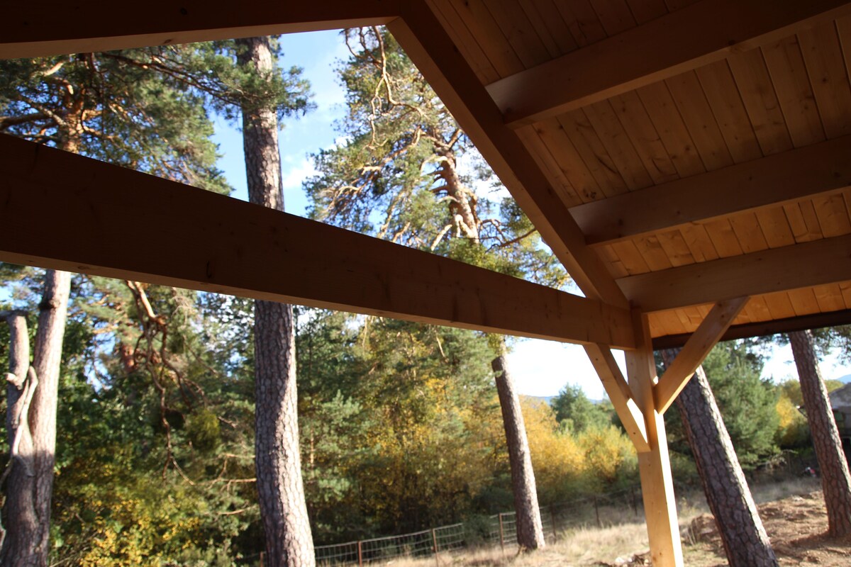 Una construcción de madera con vistas a altos árboles y un cielo despejado.