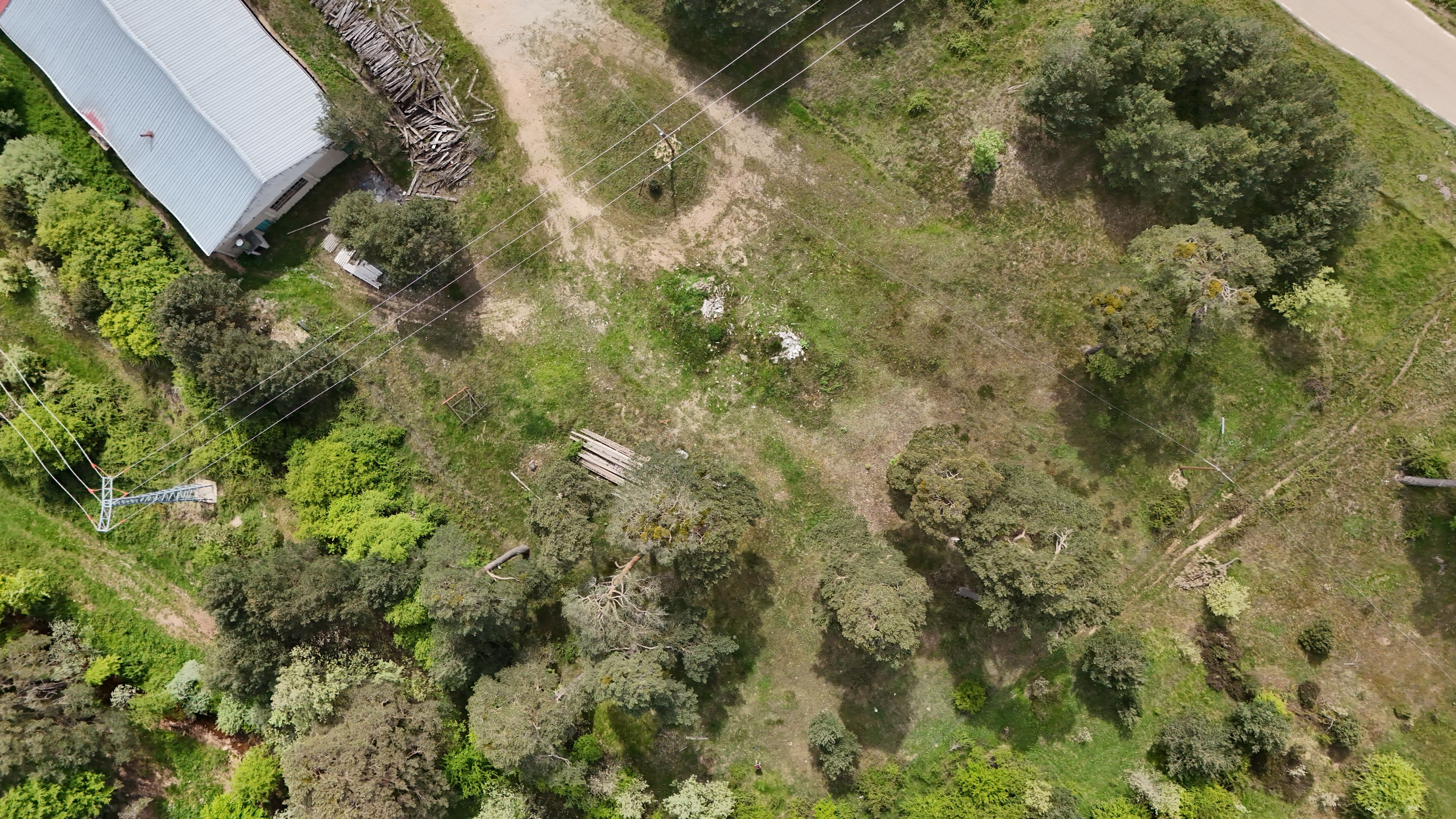 An aerial view of a property with dense greenery, a building with a metal roof, and a dirt path.