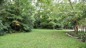A grassy area with trees and a pathway.