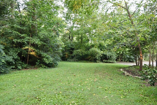 A grassy area with trees and a pathway.
