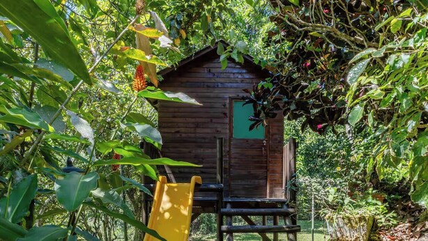 Eine Holzhütte mit grüner Tür, umgeben von dichtem Grün und einer gelben Rutsche.