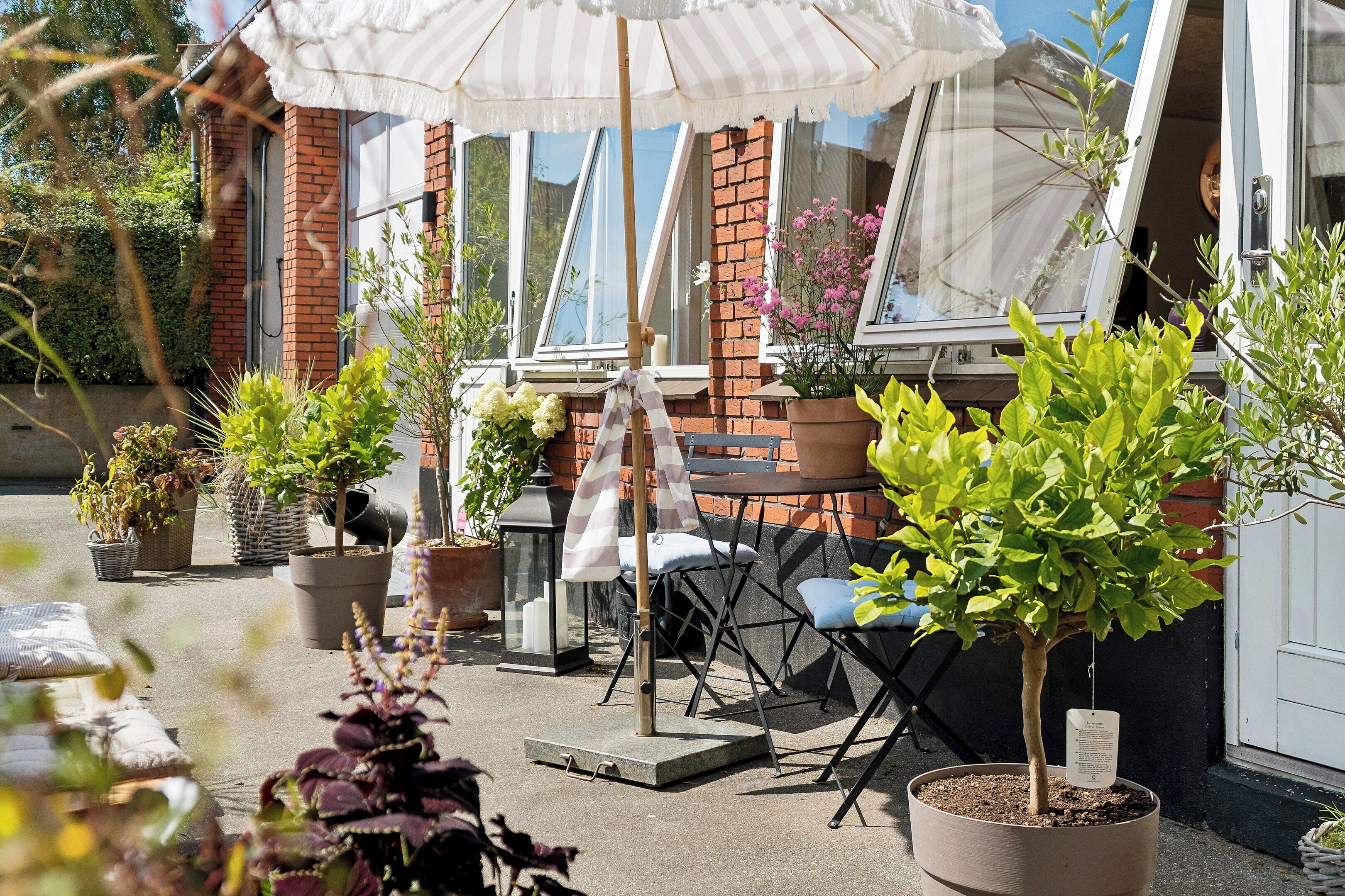 An outdoor seating area with potted plants, a table, and chairs.