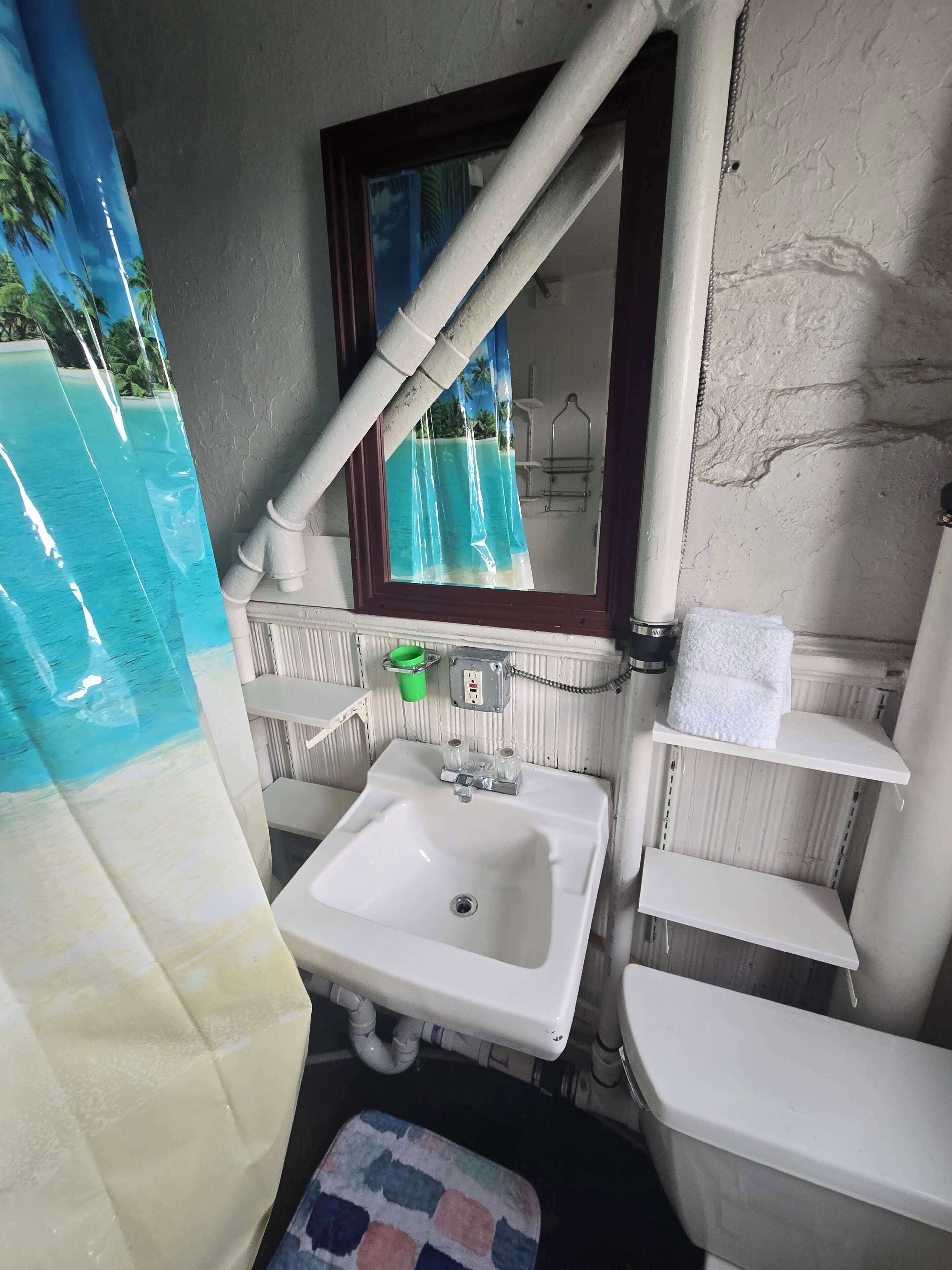 Une salle de bain comprenant un lavabo, un miroir, un porte-serviettes et un espace douche.