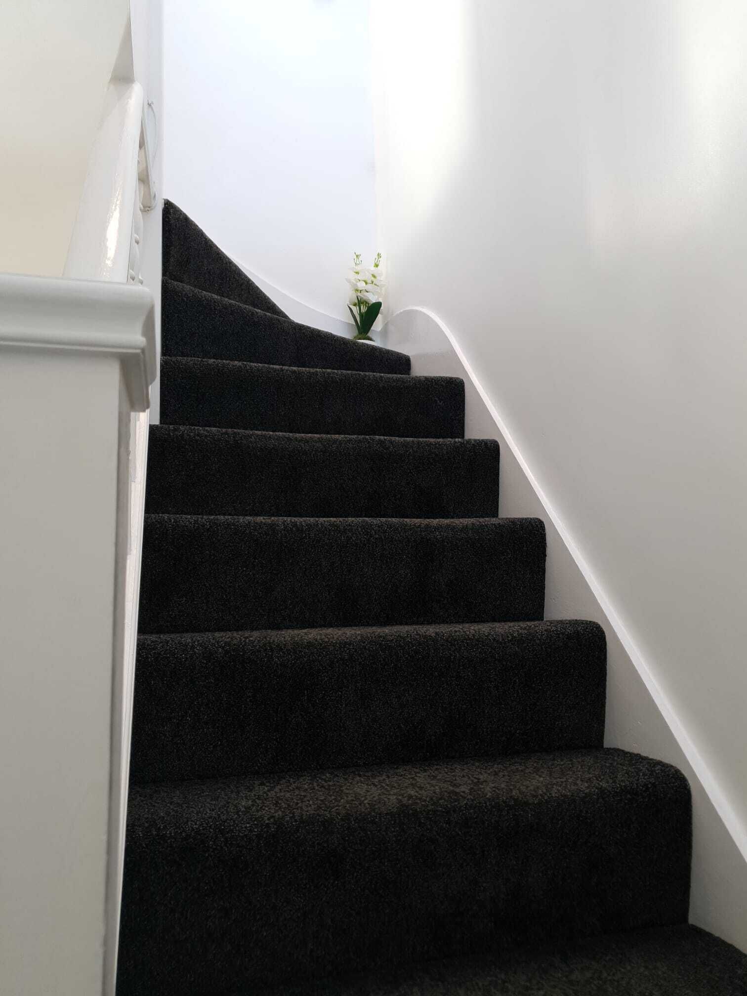 A staircase with dark carpeted steps leading up to a landing.