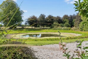 A tranquil outdoor setting with a pond, trees, and a gravel path.