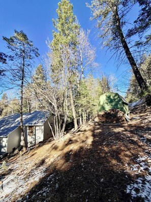 A cabin with a metal roof, surrounded by tall trees and a pile of firewood. - “Peace of the Mountains” (Cloudcroft)