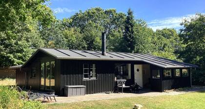 6 Person Holiday Home in Ansager
