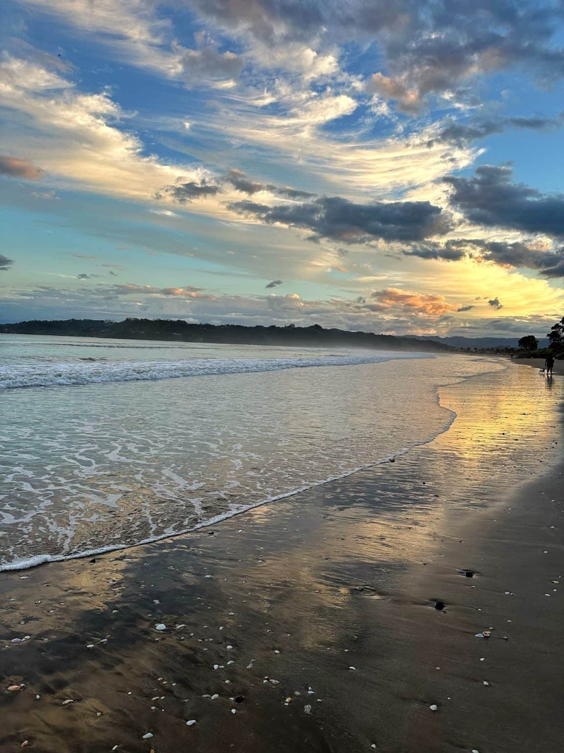 A beach with waves, a clear sky, and a distant shoreline.