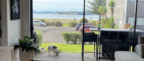 A modern living room with a large sliding glass door leading to a balcony, a grey rug, and a dog on the balcony.