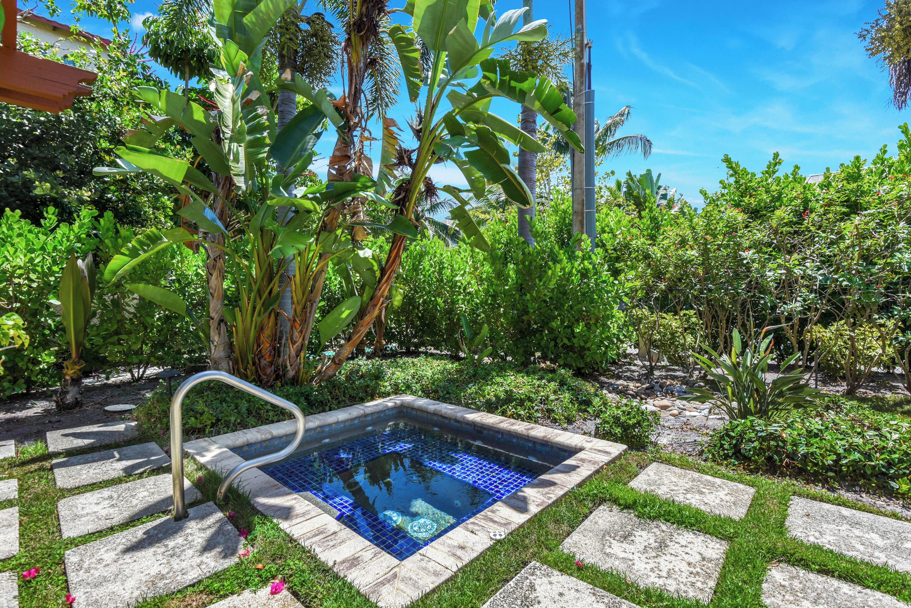 Una piscina amb vora de rajola, envoltada de vegetació abundant i un cel blau clar.