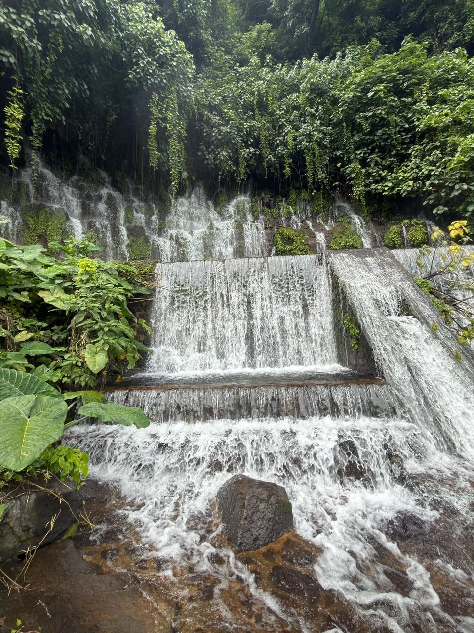Una cascada fluye sobre una serie de escalones, rodeada de exuberante vegetación.
