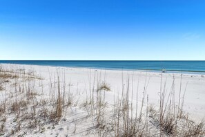 Ein Strand mit Sand und vereinzelter Vegetation.