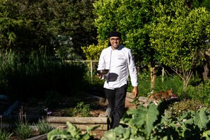 Ein Koch geht durch einen Garten, eine Metallschüssel tragend, umgeben von Grünpflanzen und einem Holzzaun.