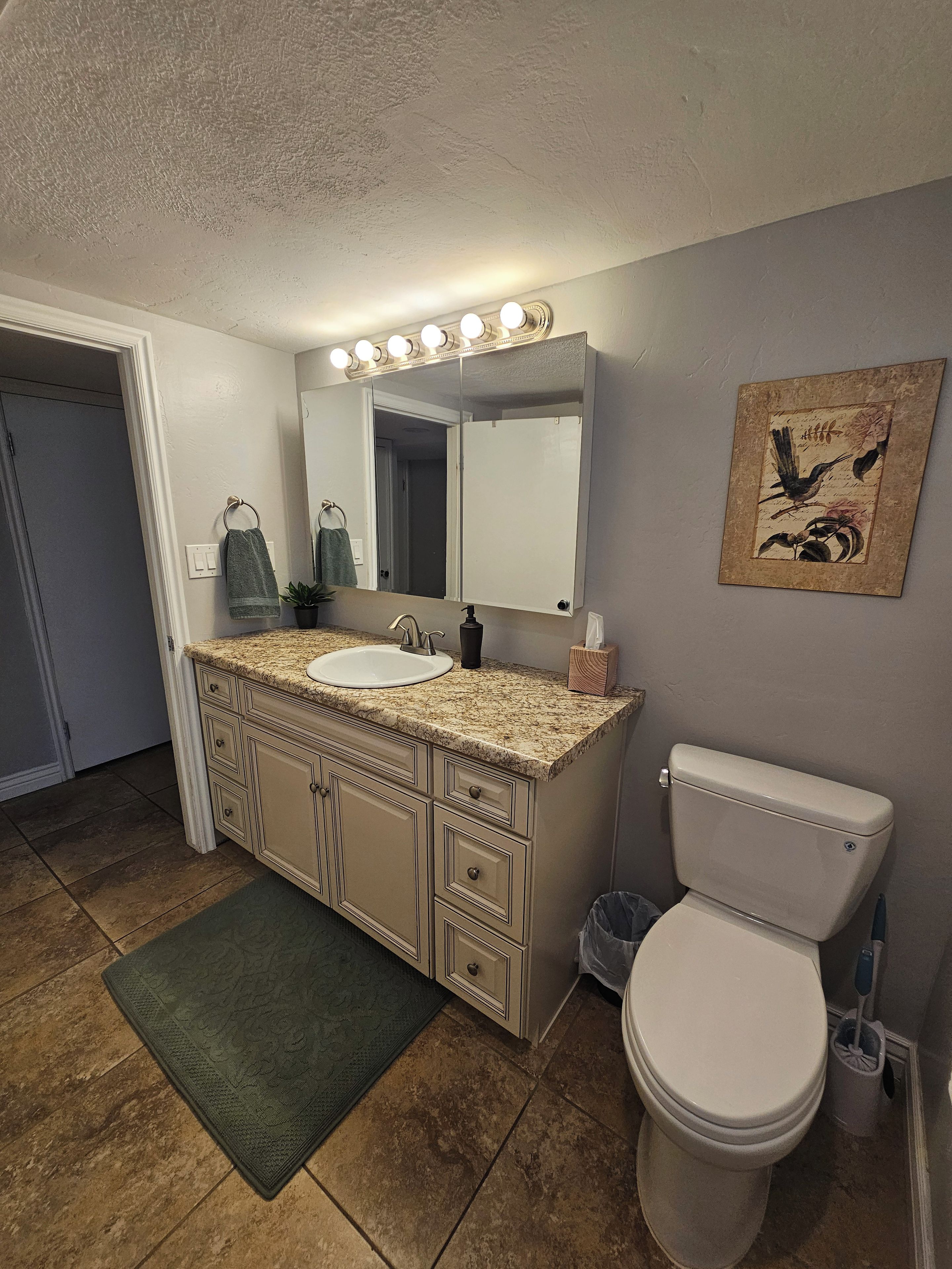 A bathroom with a sink, vanity, mirror, and toilet.