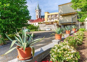 View from property - Kotyza (Humpolec)