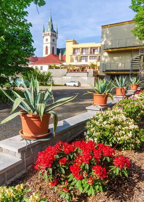 View from property - Kotyza (Humpolec)