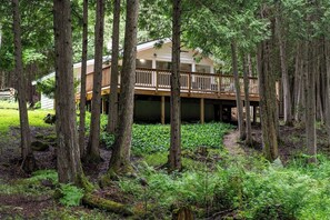 Une cabane en bois dotée d’une terrasse, entourée d’une forêt dense et de fougères.