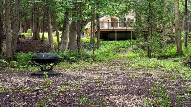 A forested area with a barbecue grill and a building with a deck in the background. - Hidden River Retreat | Secluded Riverfront Cottage (Markdale)