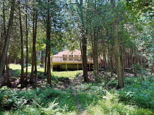 A cabin surrounded by a forest with a deck and a covered area.