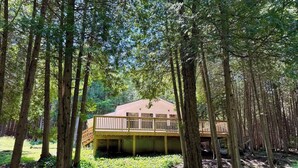 A cabin with a wooden deck and a fenced area, surrounded by tall trees. - Hidden River Retreat | Secluded Riverfront Cottage (Markdale)