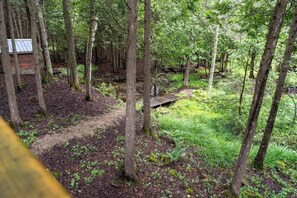 A forested area with a wooden bridge and a signpost. - Hidden River Retreat | Secluded Riverfront Cottage (Markdale)