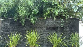 A wall with a textured surface and several potted plants with long, slender leaves.