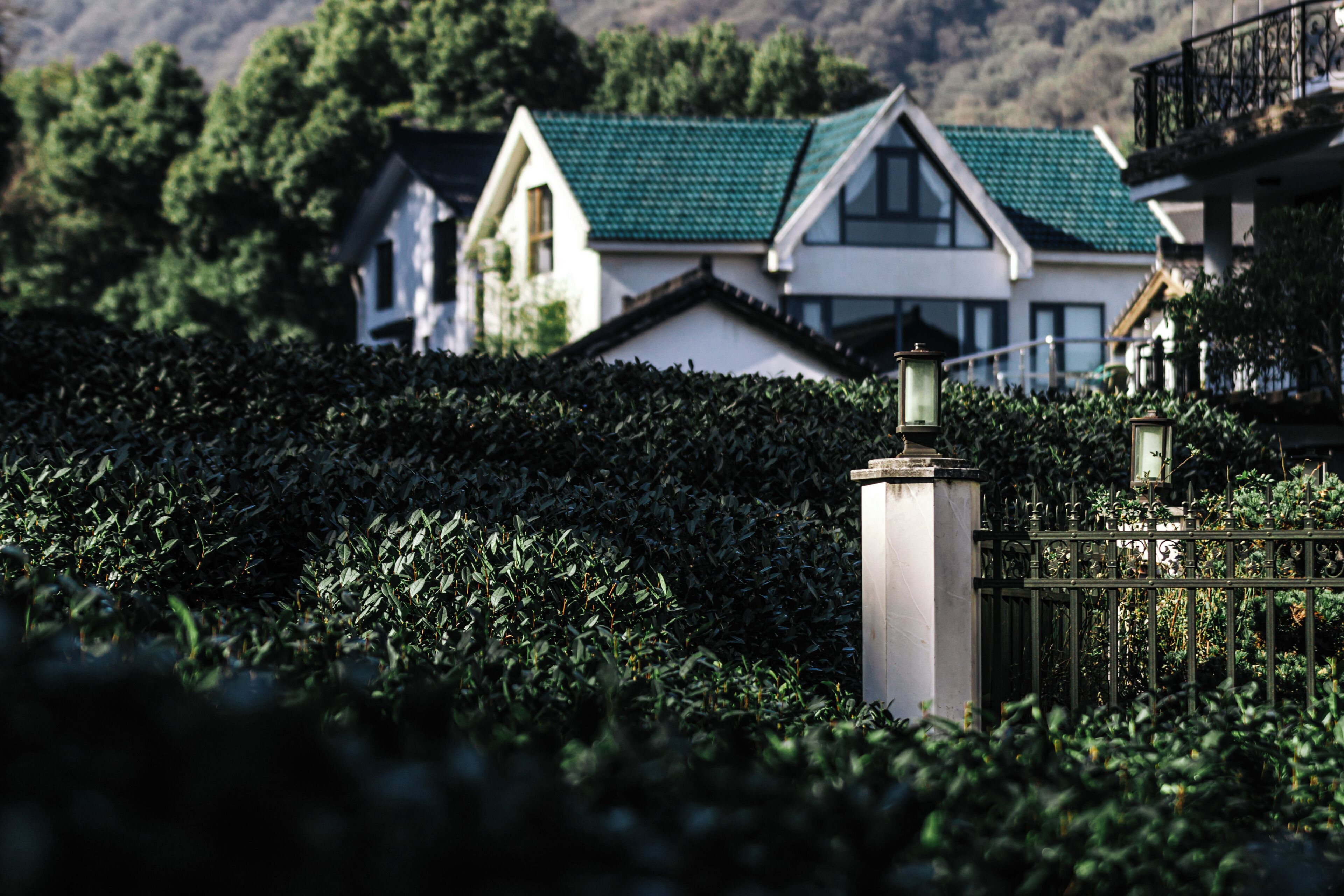 Um imóvel murado com um viveiro em primeiro plano e uma fileira de casas com telhados verdes ao fundo.