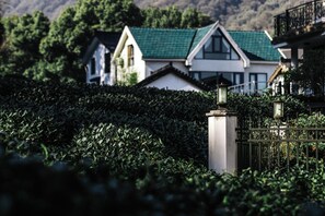 A gated property with a hedge in the foreground and a row of houses with green roofs in the background.