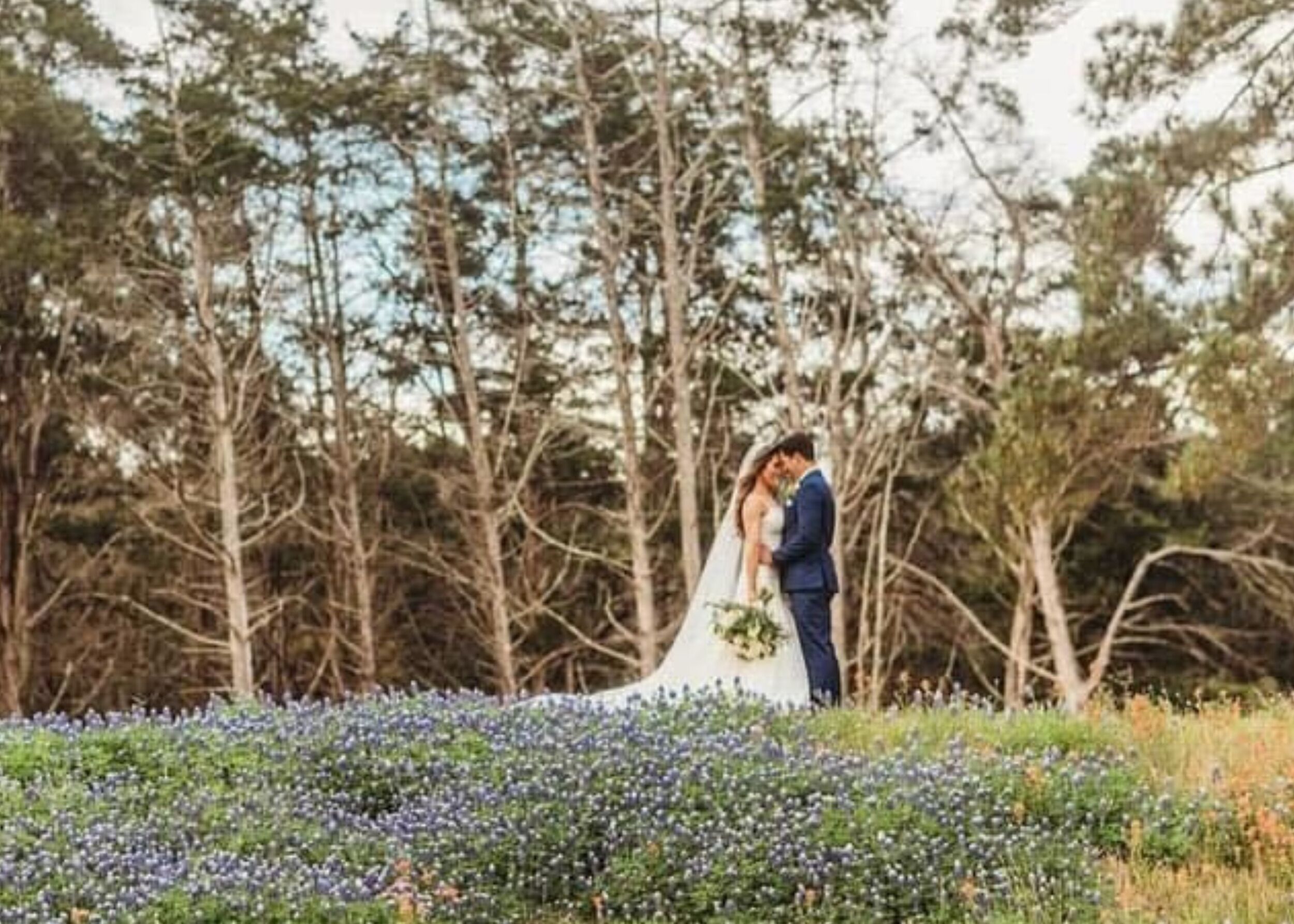A couple embracing in a field with trees in the background.