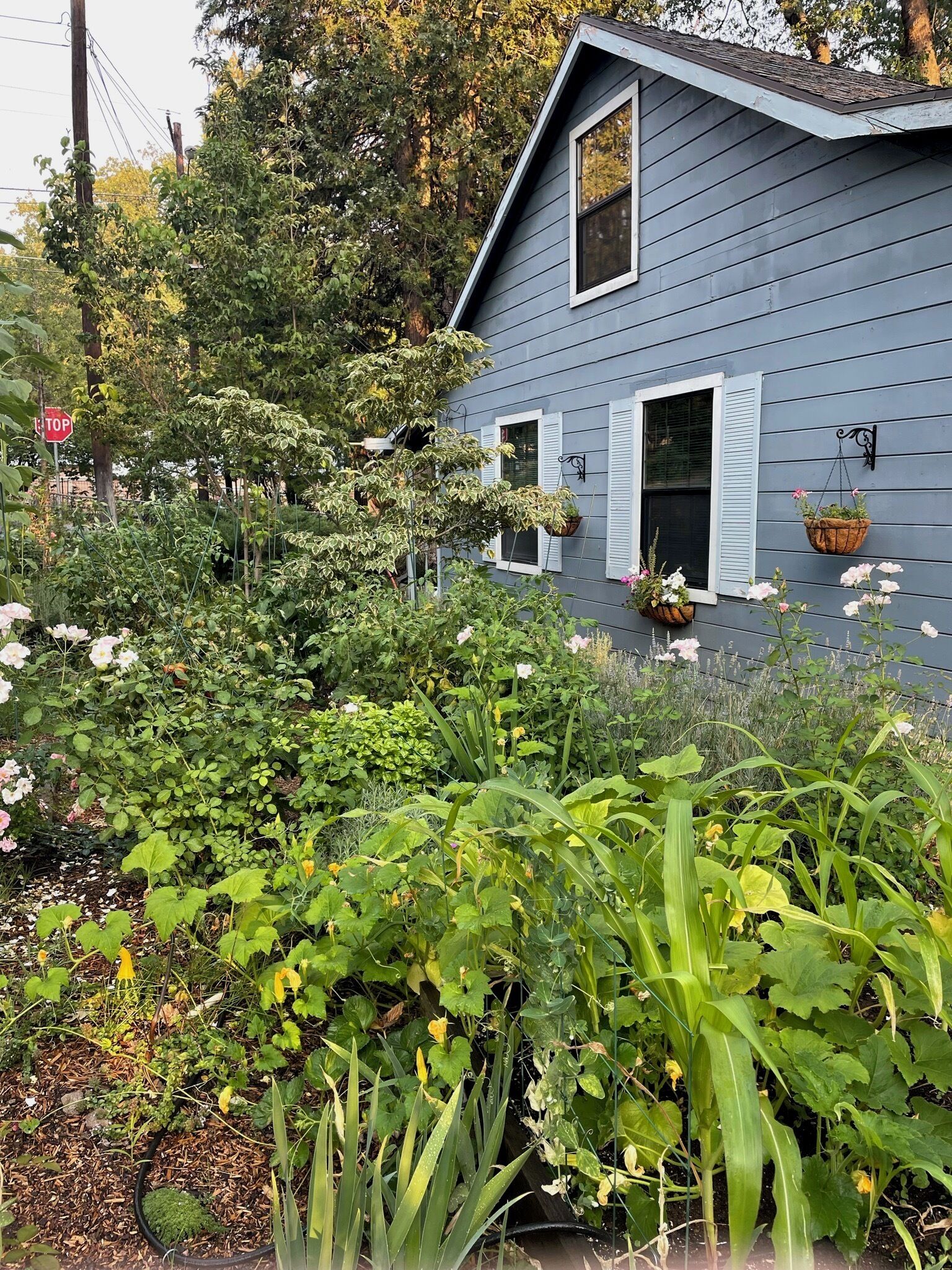 Property grounds