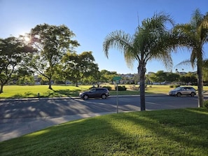 A residential street with two parked cars, a palm tree, and a grassy area.