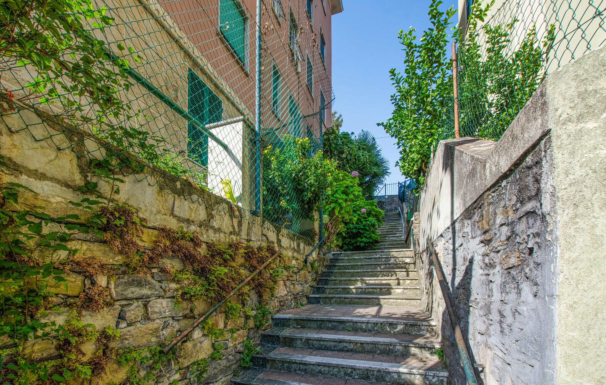 A narrow stairway flanked by stone walls and greenery, leading to a building with green shutters.
