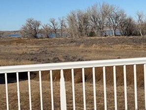 A fenced outdoor area with dry grass and leafless trees.