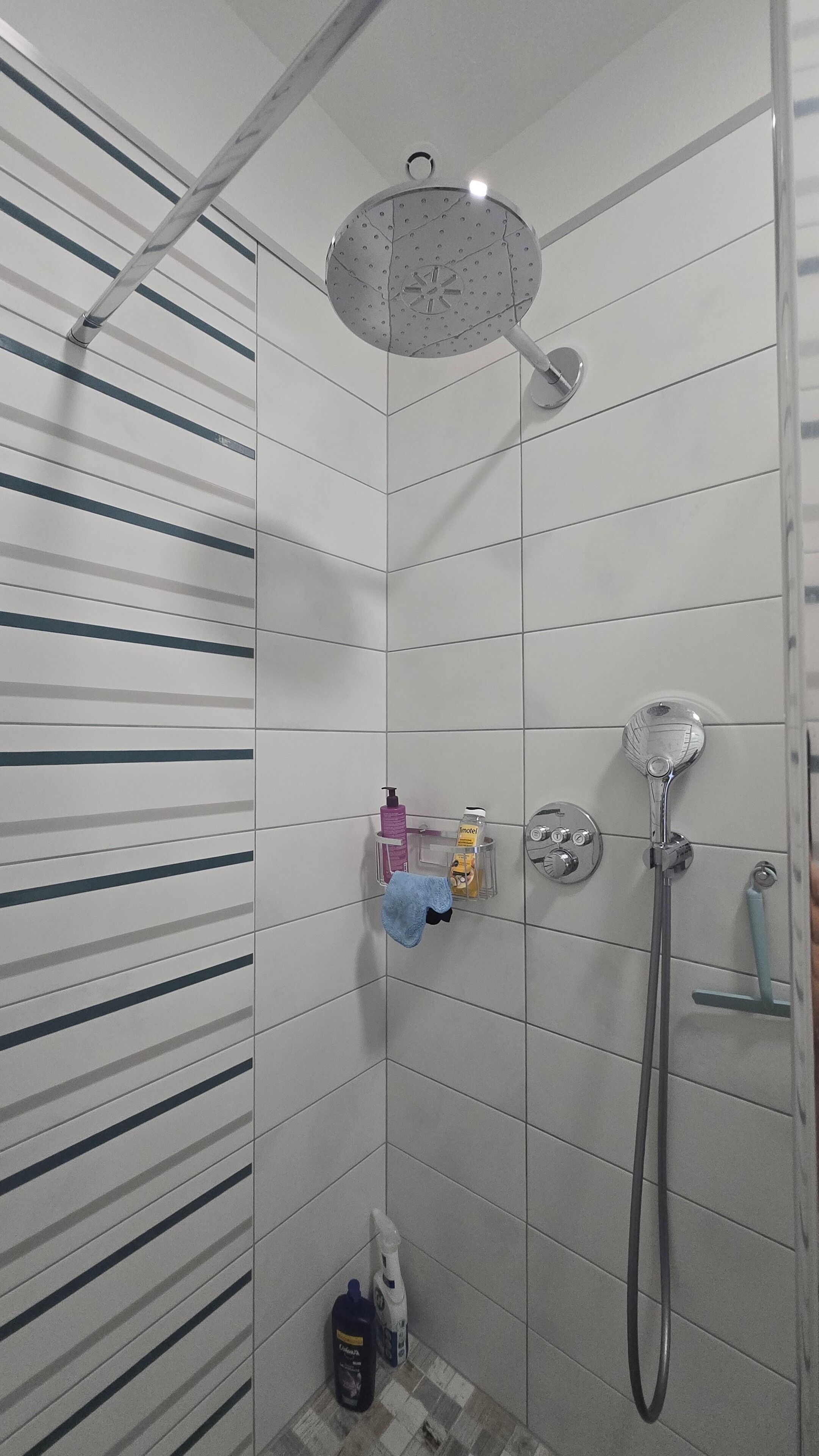 A shower with a handheld showerhead, a wall-mounted faucet, and a soap dispenser.