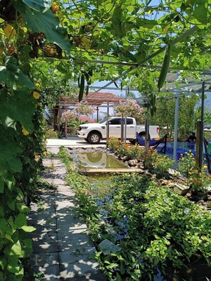 A garden pathway with a white pickup truck parked on the side, surrounded by lush greenery and flowering plants. - Lộc Rừng Hill (Dien Tho)