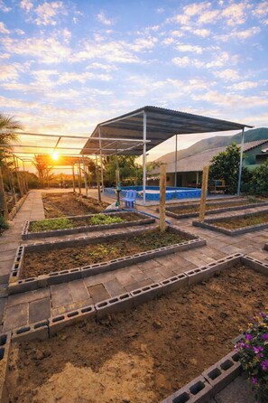 A garden with raised beds, a covered seating area, and a pathway. - Lộc Rừng Hill (Dien Tho)