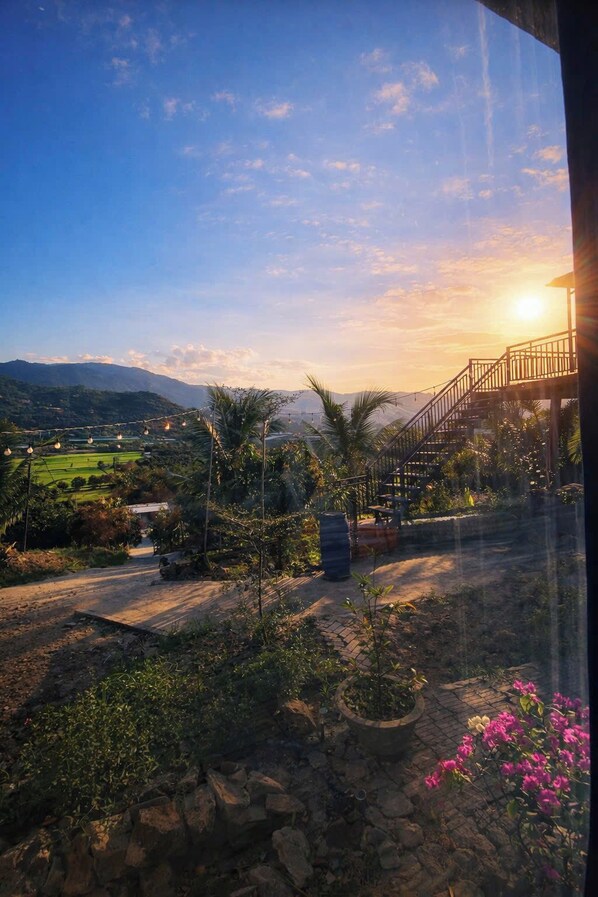 A sunset view from a balcony with a staircase, a garden with various plants, and a distant landscape.