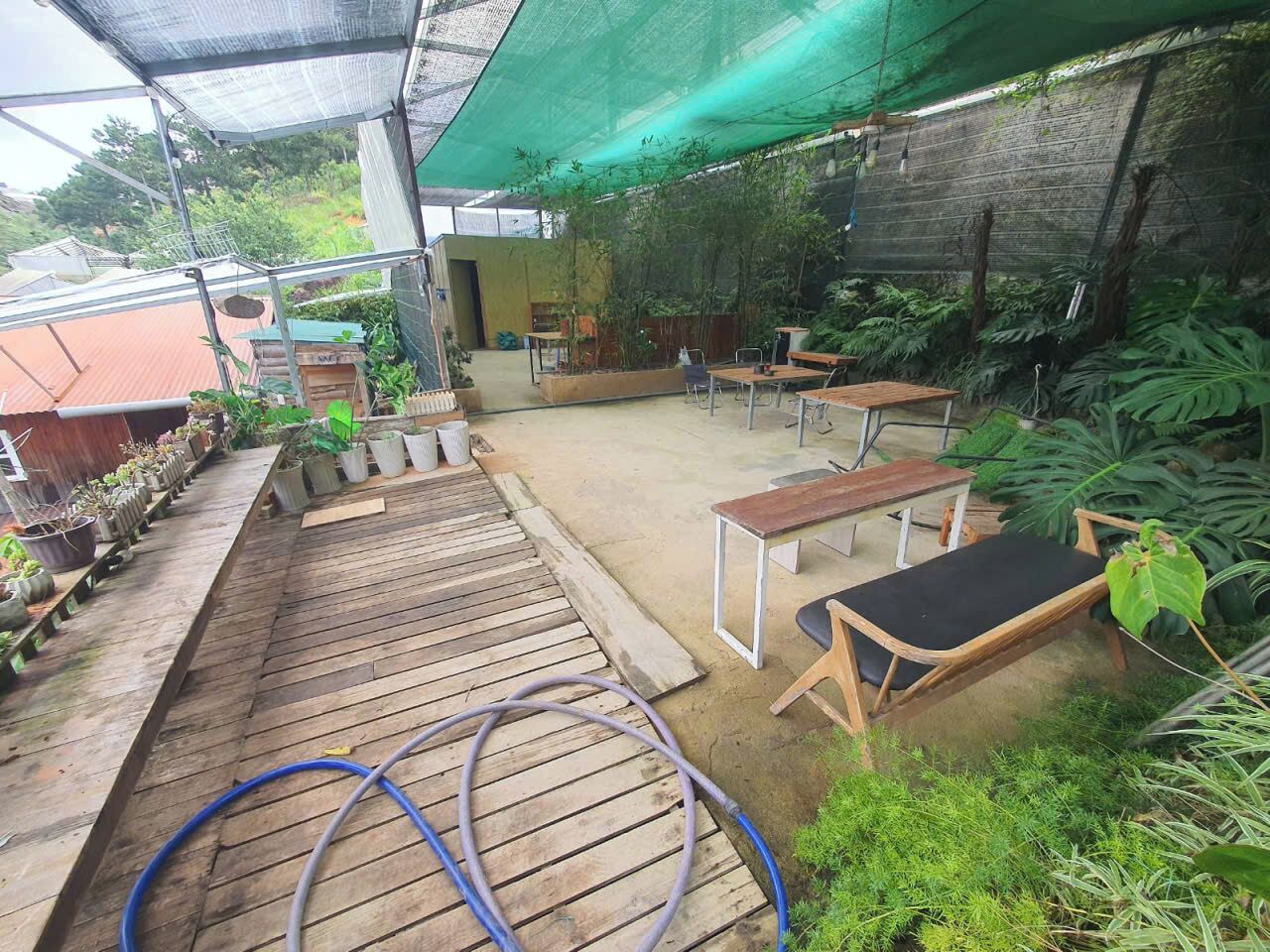 An outdoor patio area with wooden tables and chairs, surrounded by potted plants and greenery.