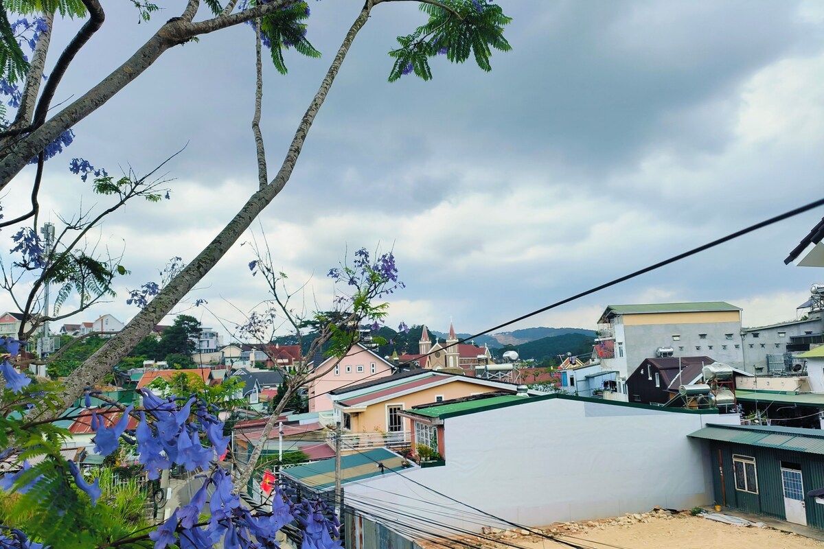 A residential area with houses, a church, and a hill in the background.
