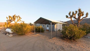 A desert house with a covered porch, surrounded by cacti and a clear sky.