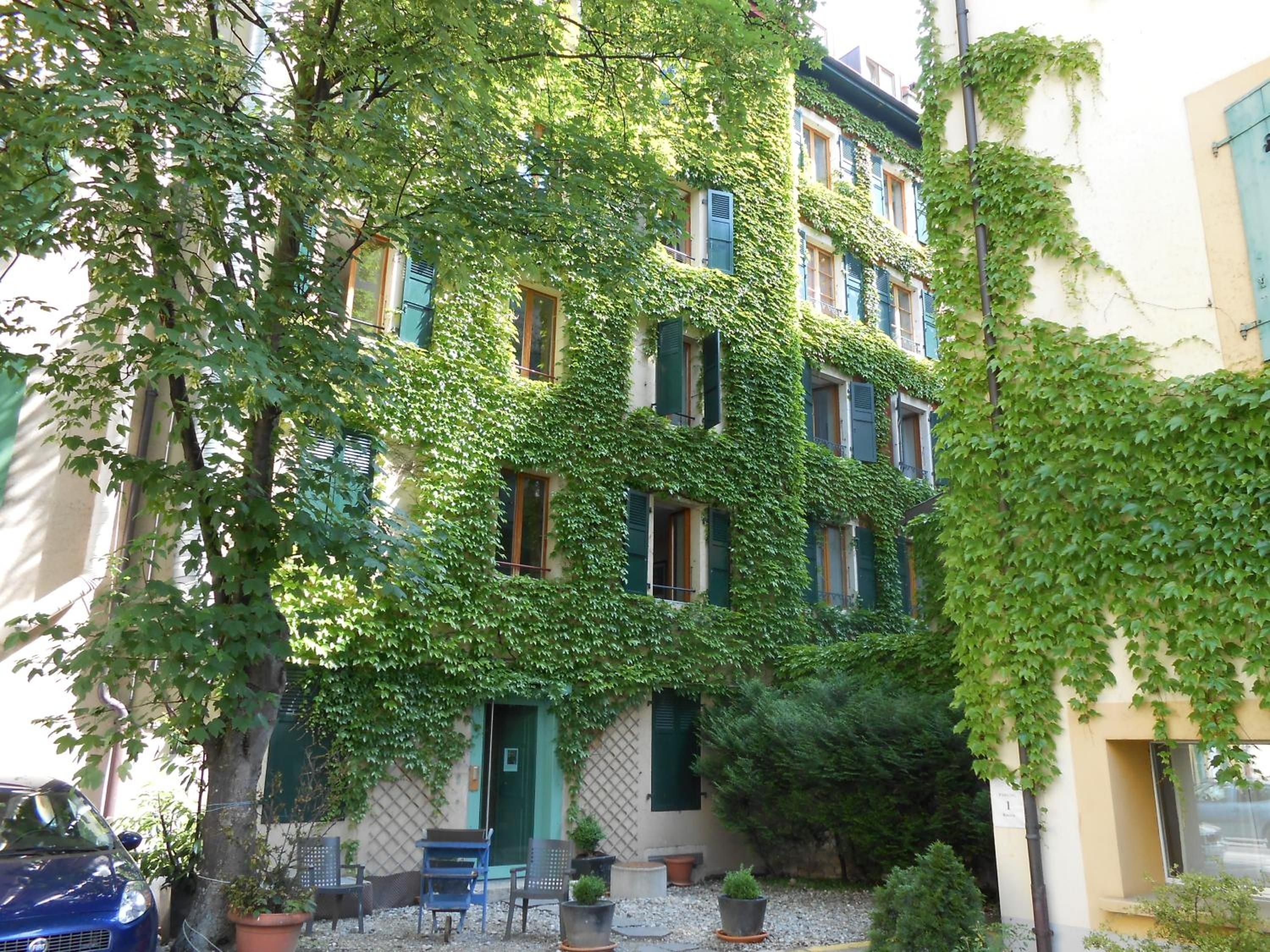 Un bâtiment dont la façade est recouverte de lierre, avec de nombreuses fenêtres et une porte.