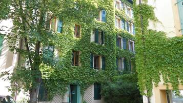 Un bâtiment dont la façade est recouverte de lierre, avec de nombreuses fenêtres et une porte.