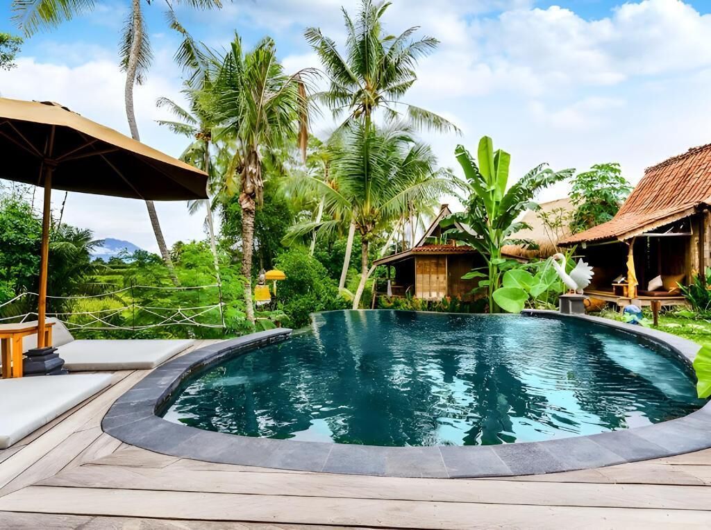 A swimming pool surrounded by tropical vegetation and a thatched-roof structure.