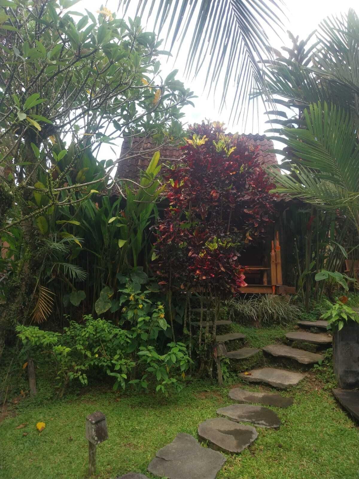 A garden with a variety of plants, a stone pathway, and a wooden structure.