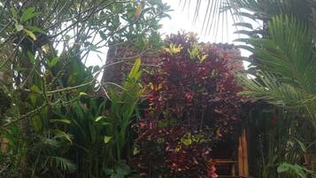 A garden with a variety of plants, a stone pathway, and a wooden structure.