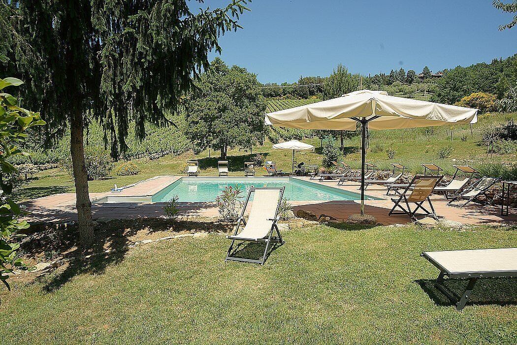 A backyard with a swimming pool, lounge chairs, and umbrellas.