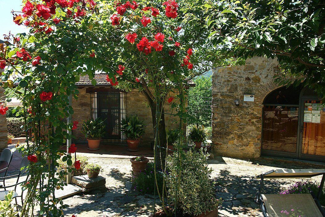 Une cour avec un bâtiment en pierre, des plantes en pot et une table entourée de chaises.