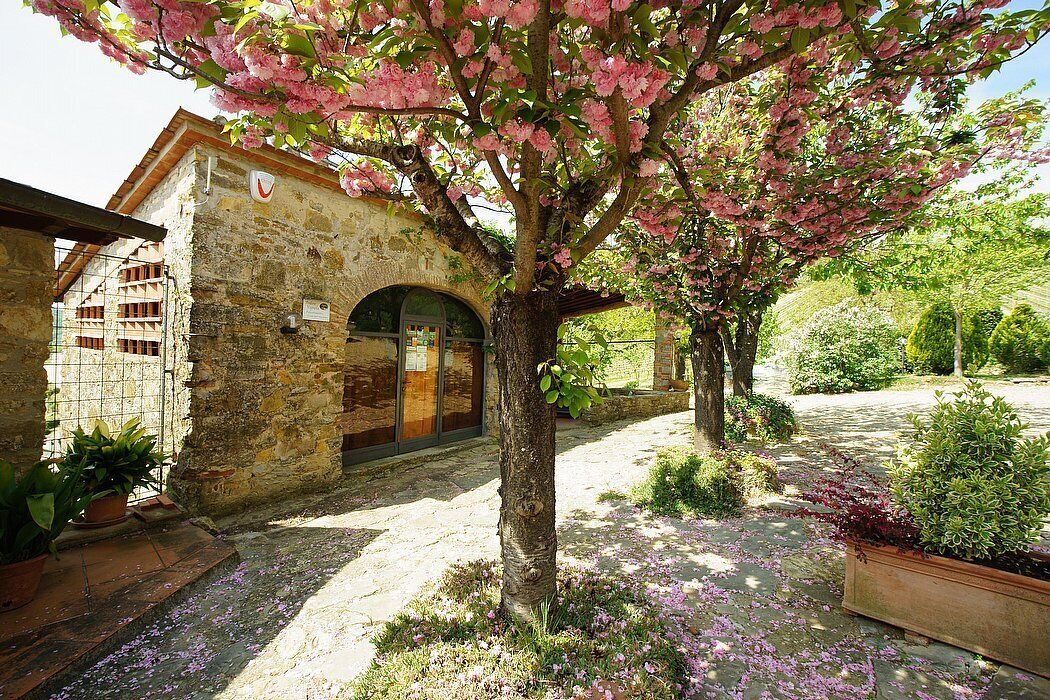 A stone building with a wooden door, surrounded by a garden with flowering plants and a paved pathway.