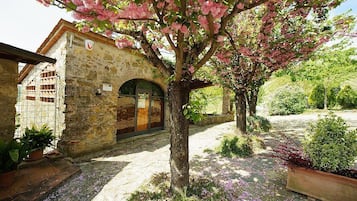 Ein Steinhaus mit einer Holztür, umgeben von einem Garten mit blühenden Pflanzen und einem gepflasterten Weg.
